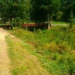 IMG_20140719_133212