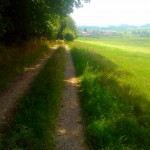 IMG_20140719_140708